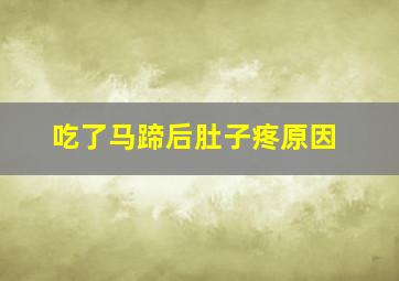 吃了马蹄后肚子疼原因