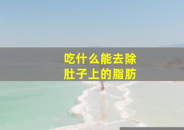 吃什么能去除肚子上的脂肪