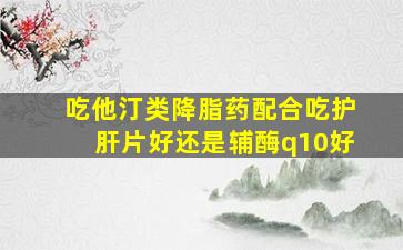 吃他汀类降脂药配合吃护肝片好还是辅酶q10好