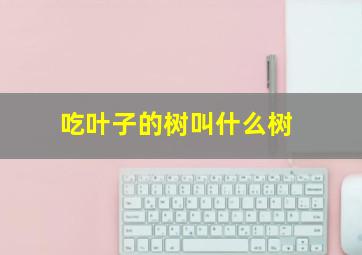 吃叶子的树叫什么树