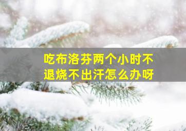 吃布洛芬两个小时不退烧不出汗怎么办呀