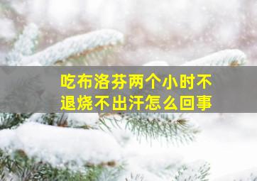 吃布洛芬两个小时不退烧不出汗怎么回事