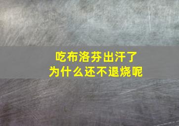 吃布洛芬出汗了为什么还不退烧呢