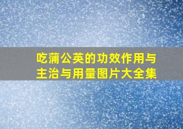 吃蒲公英的功效作用与主治与用量图片大全集