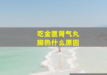 吃金匮肾气丸脚热什么原因