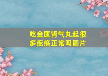 吃金匮肾气丸起很多疙瘩正常吗图片