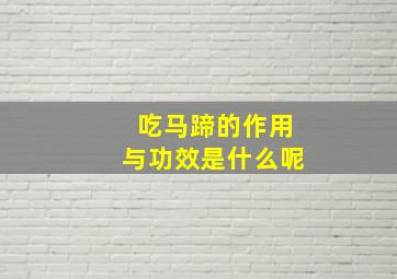 吃马蹄的作用与功效是什么呢