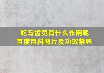 吃马齿苋有什么作用呢百度百科图片及功效禁忌