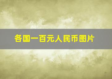 各国一百元人民币图片