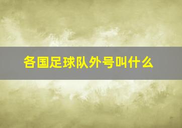 各国足球队外号叫什么