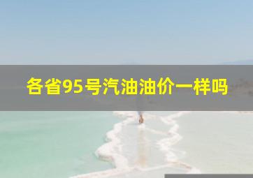 各省95号汽油油价一样吗