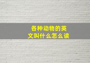 各种动物的英文叫什么怎么读