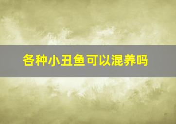 各种小丑鱼可以混养吗