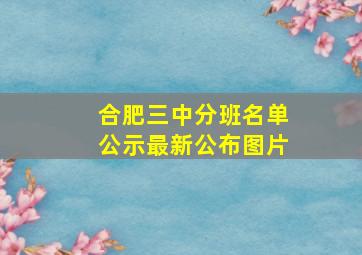 合肥三中分班名单公示最新公布图片