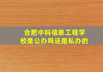 合肥中科信息工程学校是公办吗还是私办的