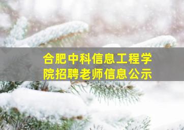 合肥中科信息工程学院招聘老师信息公示