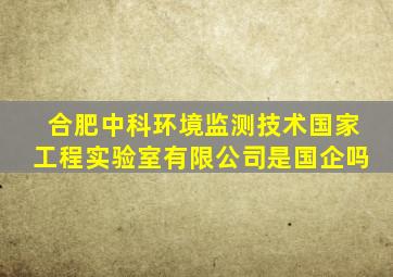 合肥中科环境监测技术国家工程实验室有限公司是国企吗