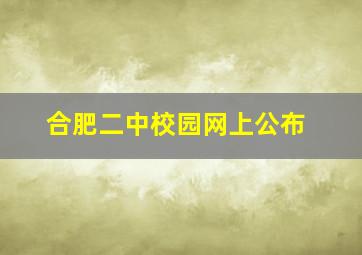 合肥二中校园网上公布