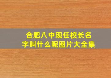 合肥八中现任校长名字叫什么呢图片大全集