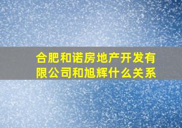 合肥和诺房地产开发有限公司和旭辉什么关系