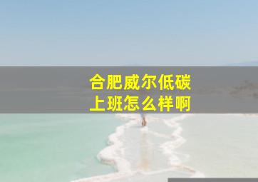 合肥威尔低碳上班怎么样啊