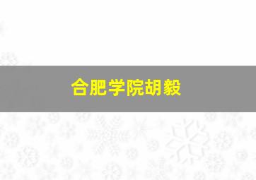 合肥学院胡毅