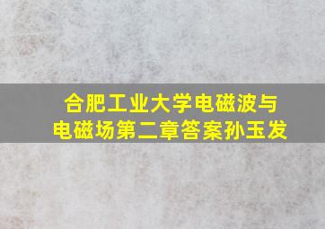 合肥工业大学电磁波与电磁场第二章答案孙玉发