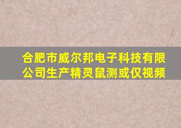 合肥市威尔邦电子科技有限公司生产精灵鼠测或仅视频