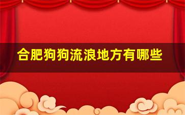 合肥狗狗流浪地方有哪些