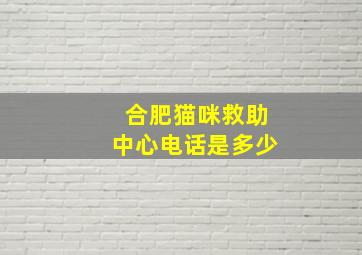 合肥猫咪救助中心电话是多少