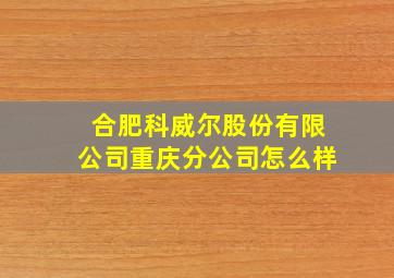 合肥科威尔股份有限公司重庆分公司怎么样