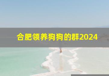 合肥领养狗狗的群2024