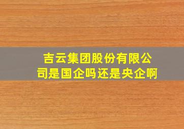 吉云集团股份有限公司是国企吗还是央企啊