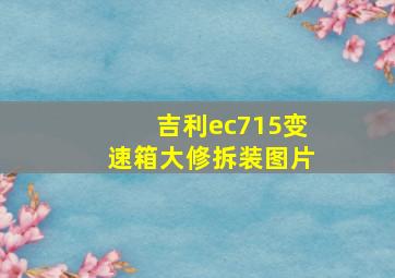 吉利ec715变速箱大修拆装图片