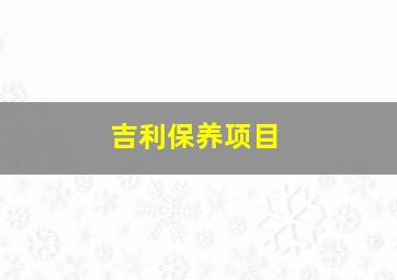 吉利保养项目