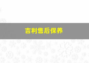 吉利售后保养