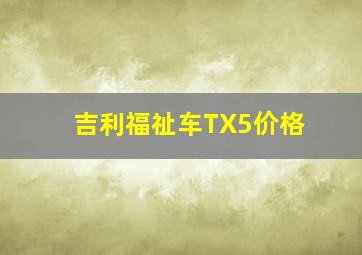 吉利福祉车TX5价格