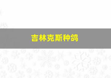 吉林克斯种鸽