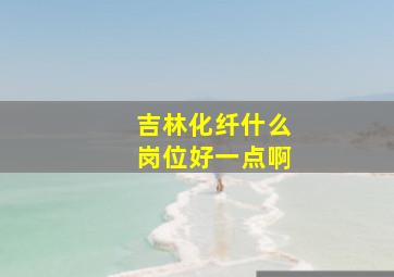 吉林化纤什么岗位好一点啊