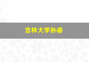 吉林大学孙睿