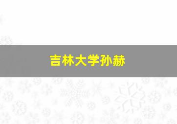 吉林大学孙赫