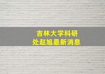 吉林大学科研处赵旭最新消息