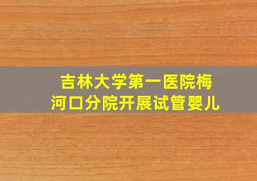 吉林大学第一医院梅河口分院开展试管婴儿