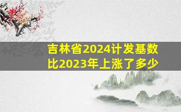 吉林省2024计发基数比2023年上涨了多少