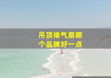 吊顶排气扇哪个品牌好一点