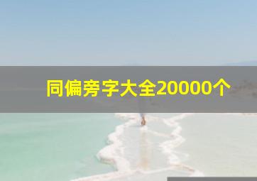 同偏旁字大全20000个