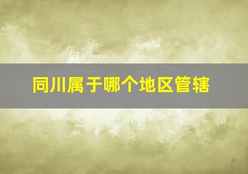 同川属于哪个地区管辖