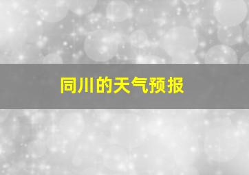 同川的天气预报