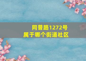 同普路1272号属于哪个街道社区