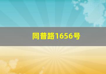 同普路1656号